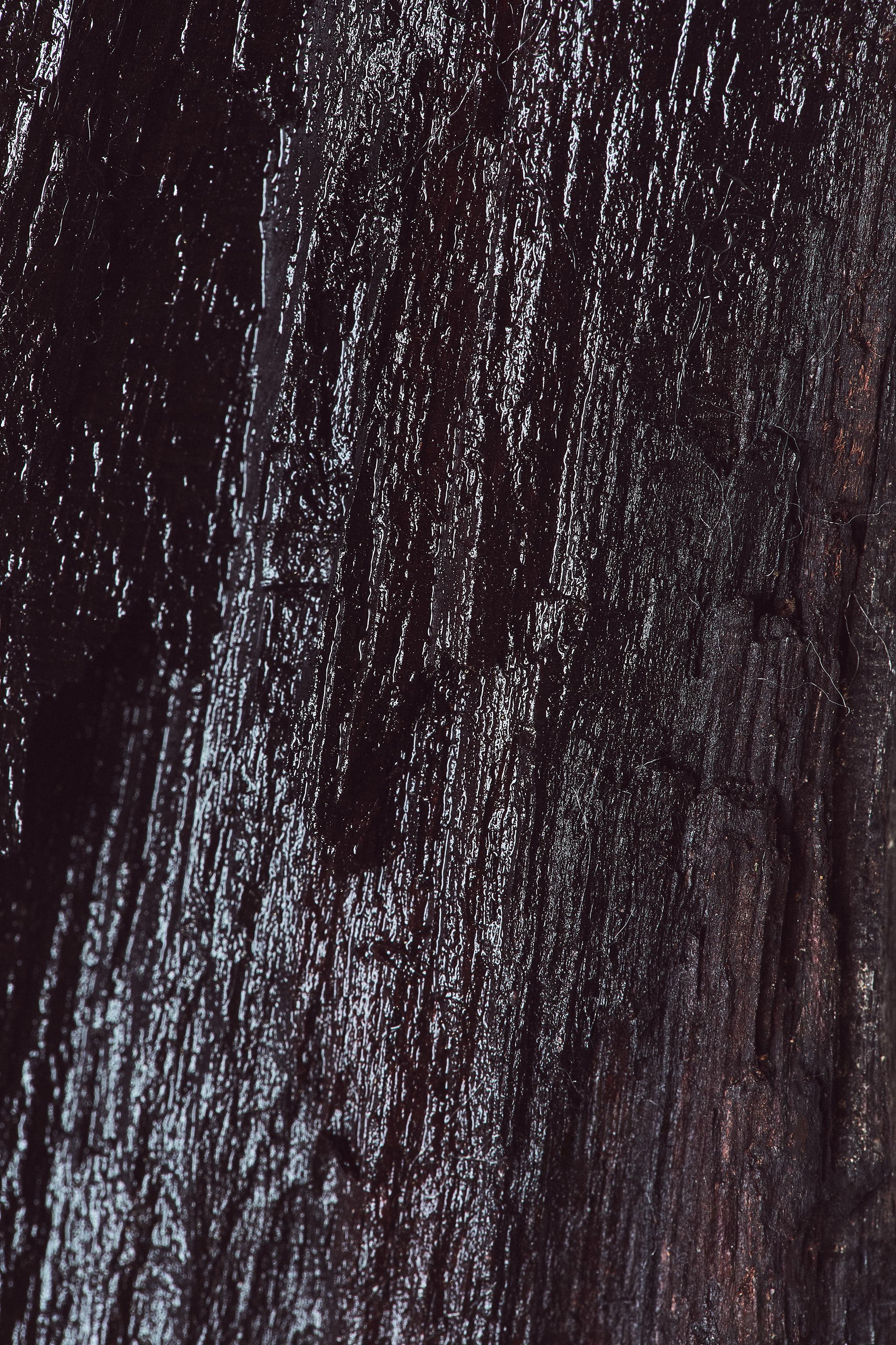 EBONY WOOD EDP 100 ML (3.4 FL. OZ).